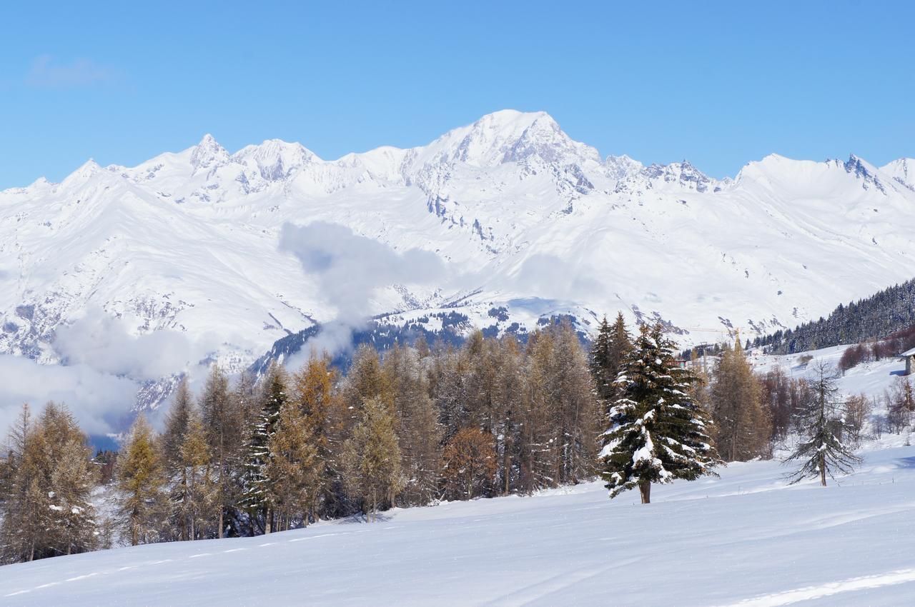 Chalet Les Amis Peisey-Nancroix Εξωτερικό φωτογραφία